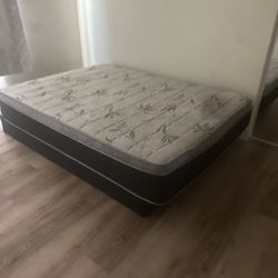 Mattress And Box Spring For Free