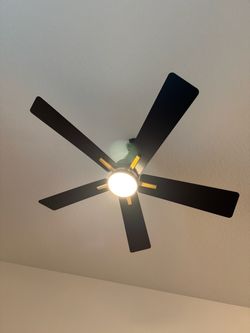 52” Modern Black & Gold Ceiling Fan w/ LED Light + Remote