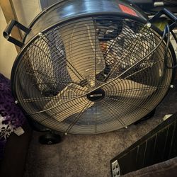 Big Fan