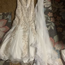 Wedding Mermaid Dress & Veil 