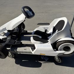 2 Ninebot Go-Karts + Ninebot S Kits — Excellent Condition — FREE Helmets — $2,000