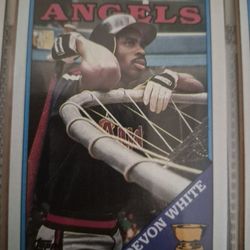 Baseball Cards