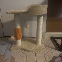 5-in-1 Cat Tree Tower