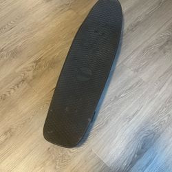 Penny Skate Board