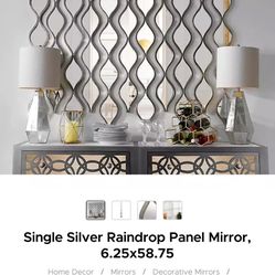 Single Silver Raindrop Panel Mirror, 6.25x58.75