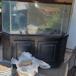 100 Gallon Corner Fish Tank Aquarium 