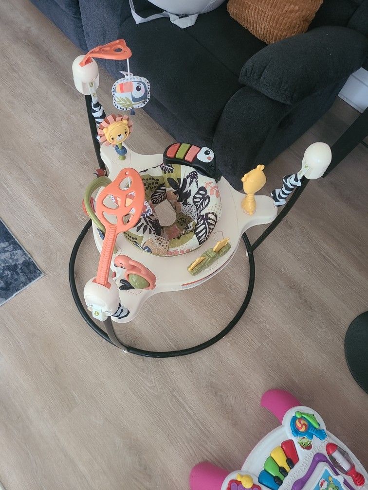 Baby Bouncer