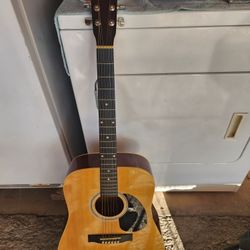Acoustic Guitar 
