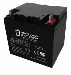 Mighty Max Battery