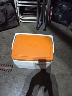 Coleman lil Oscar cooler