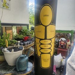 Golds Gym Punching Bag
