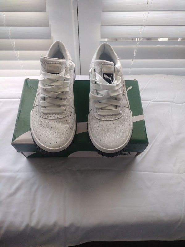 Pumas