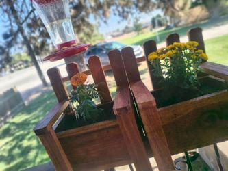 2 little planters with flowers.       Redwood 12,x7 box