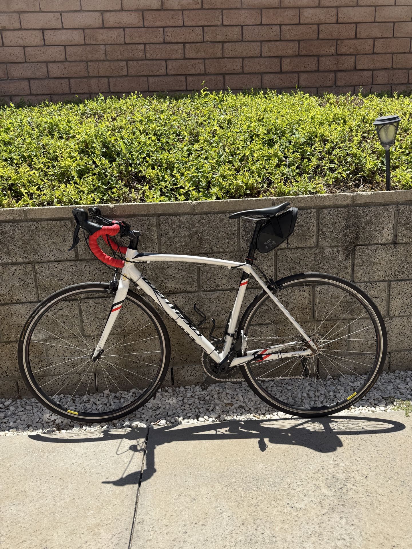 Specialized Road Bike Allez Sport 54cm