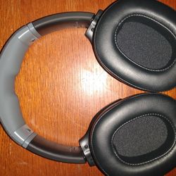 SkullCandy  Headphones 