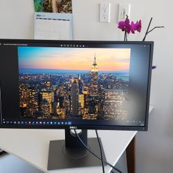 Dell 24 Inch Monitor