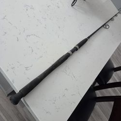 Diawa Saltist Spinning Rod,  Ocean