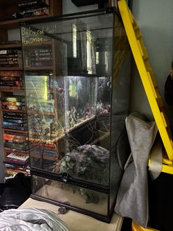 Reptile tank