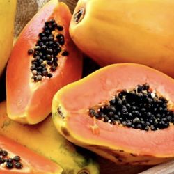 Rare Strawberry Hawaiian Papaya Seeds. Can't Find Anywhere