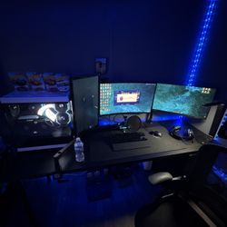 Entire Gaming Setup + Sim Wheel