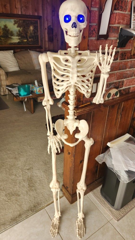 Halloween Skeleton