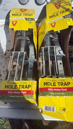 Two mole traps