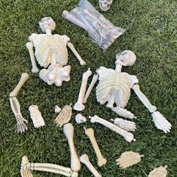 Old Skeleton Bones Halloween Decoration 