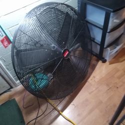 Shop Fan Dayton Large