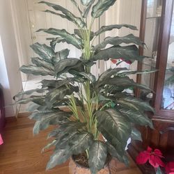 Beautiful Indoor Fake Plant For Your Home. Looks Real.