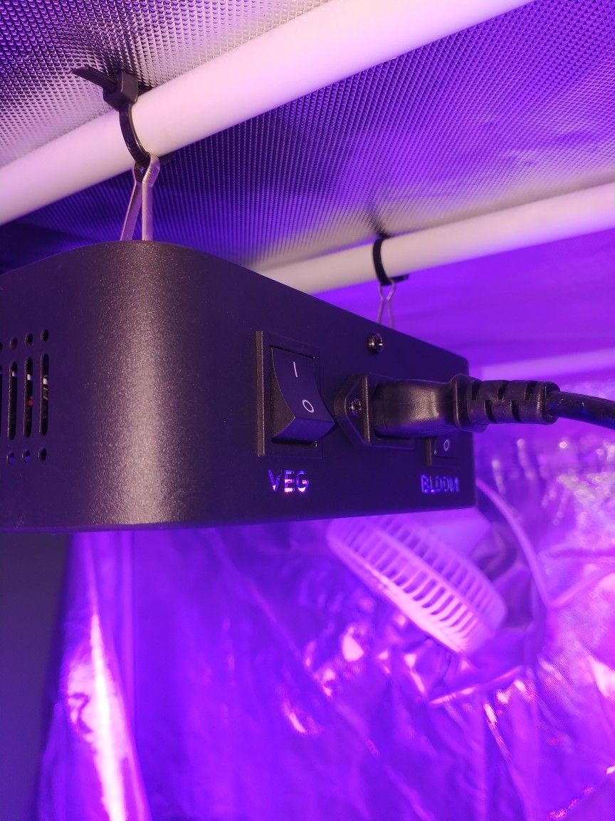 Led Light