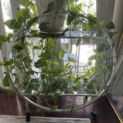 Circle Bar Serving Cart