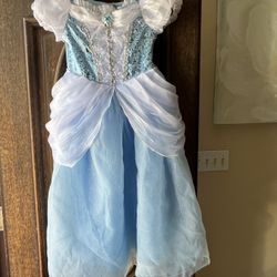 Cinderella Dress  