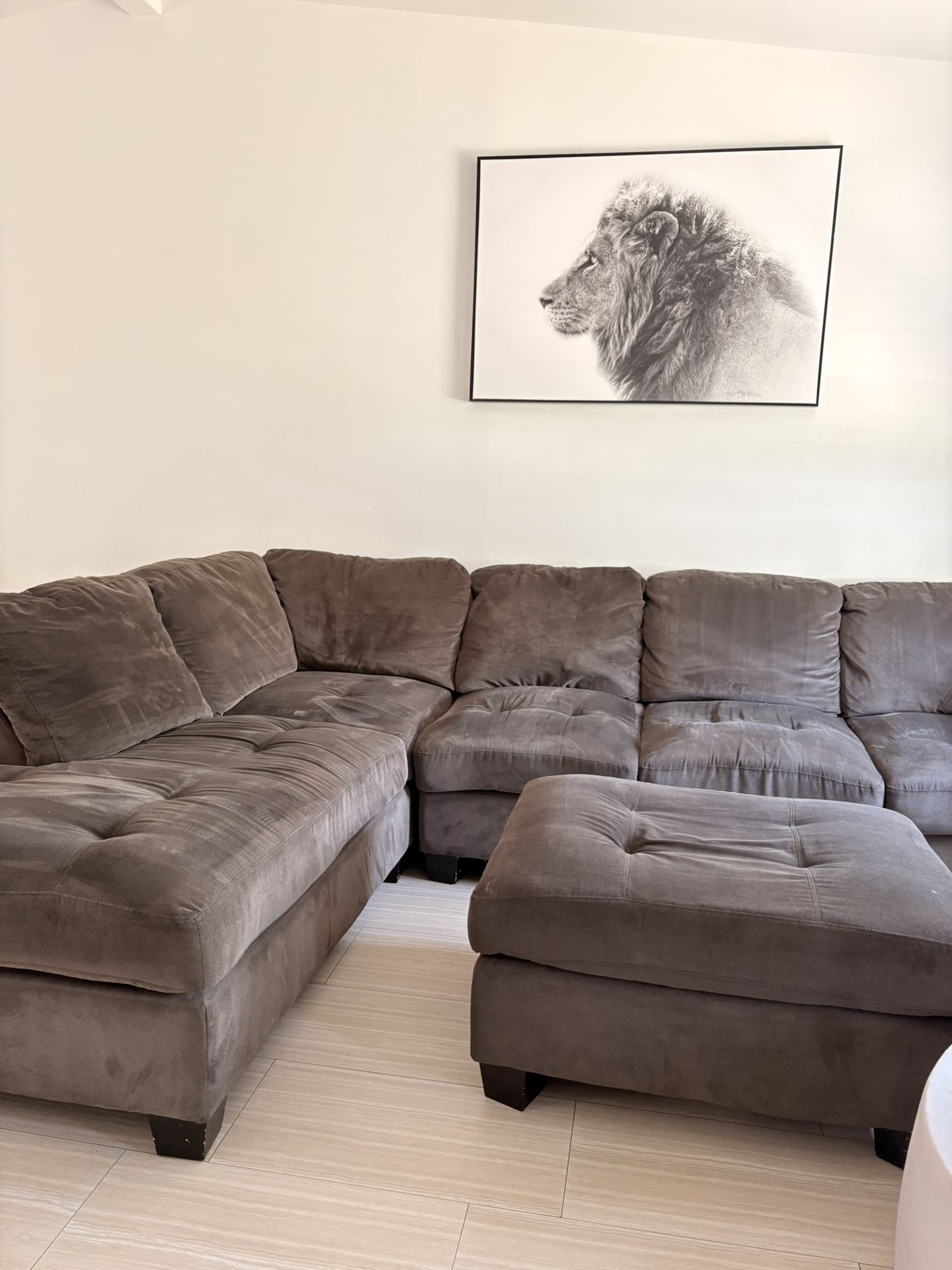 Sectional Couch