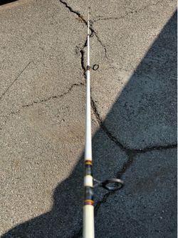 Shakespeare Ugly Stik Striper Saltwater Fishing Rod