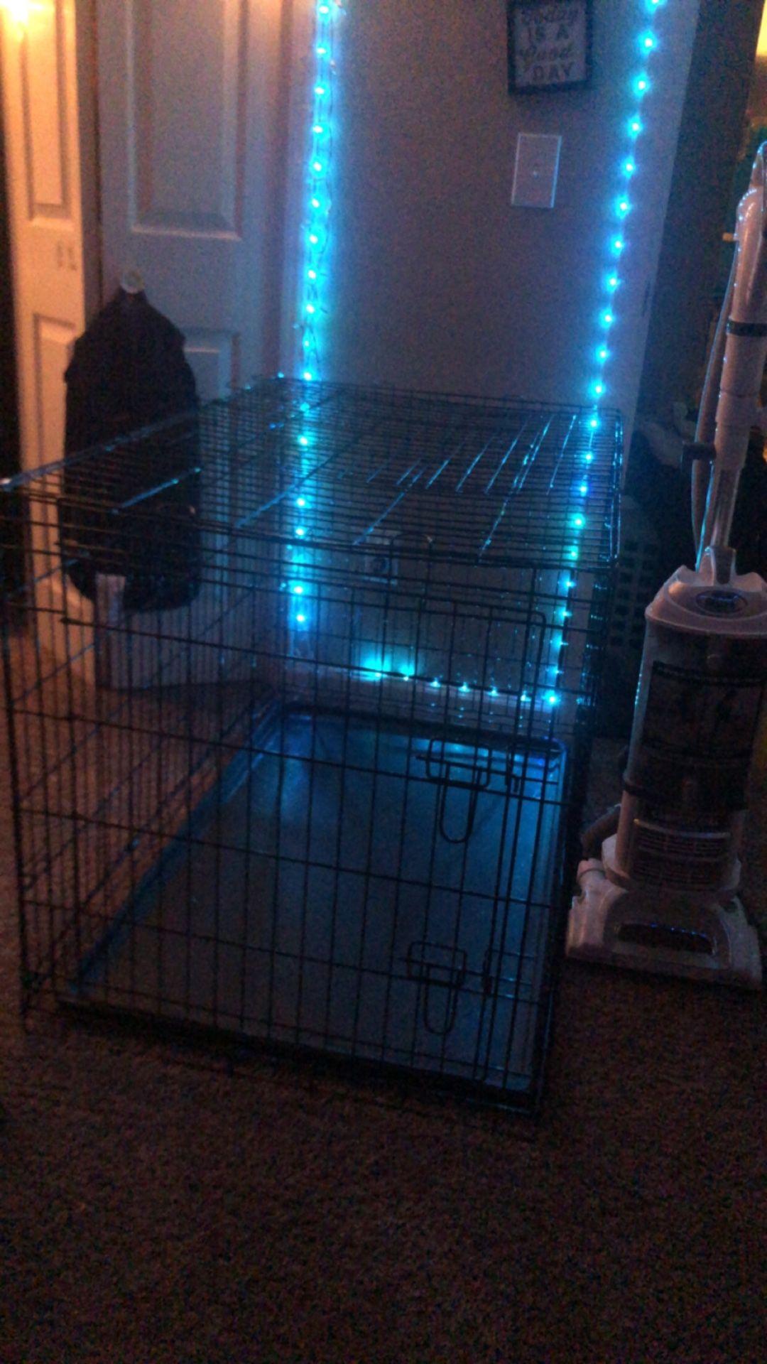 XL Dog Kennel
