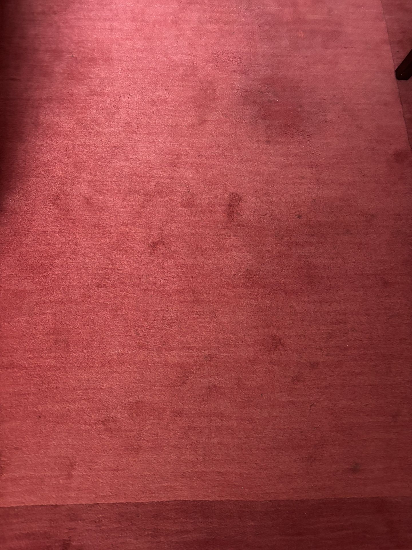 Large Red Carpet In Good Condition 