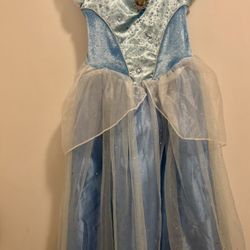 Cinderella Costume Dress