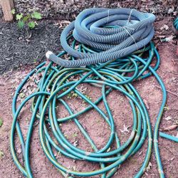 Pool And Garden Hose