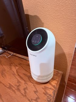 Air Purifier for Home Allergies and Pets Hair in Bedroom,