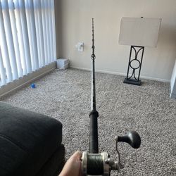 Custom Rod And Avet Sx