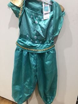 Shimer n shine costumes