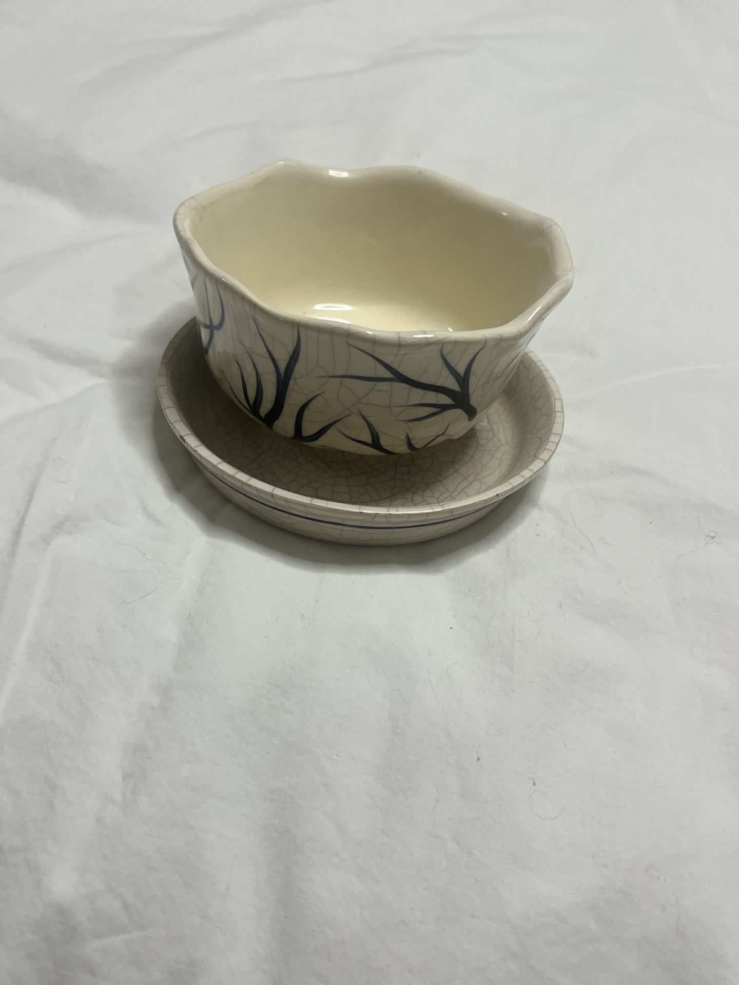China Bowl And Plate