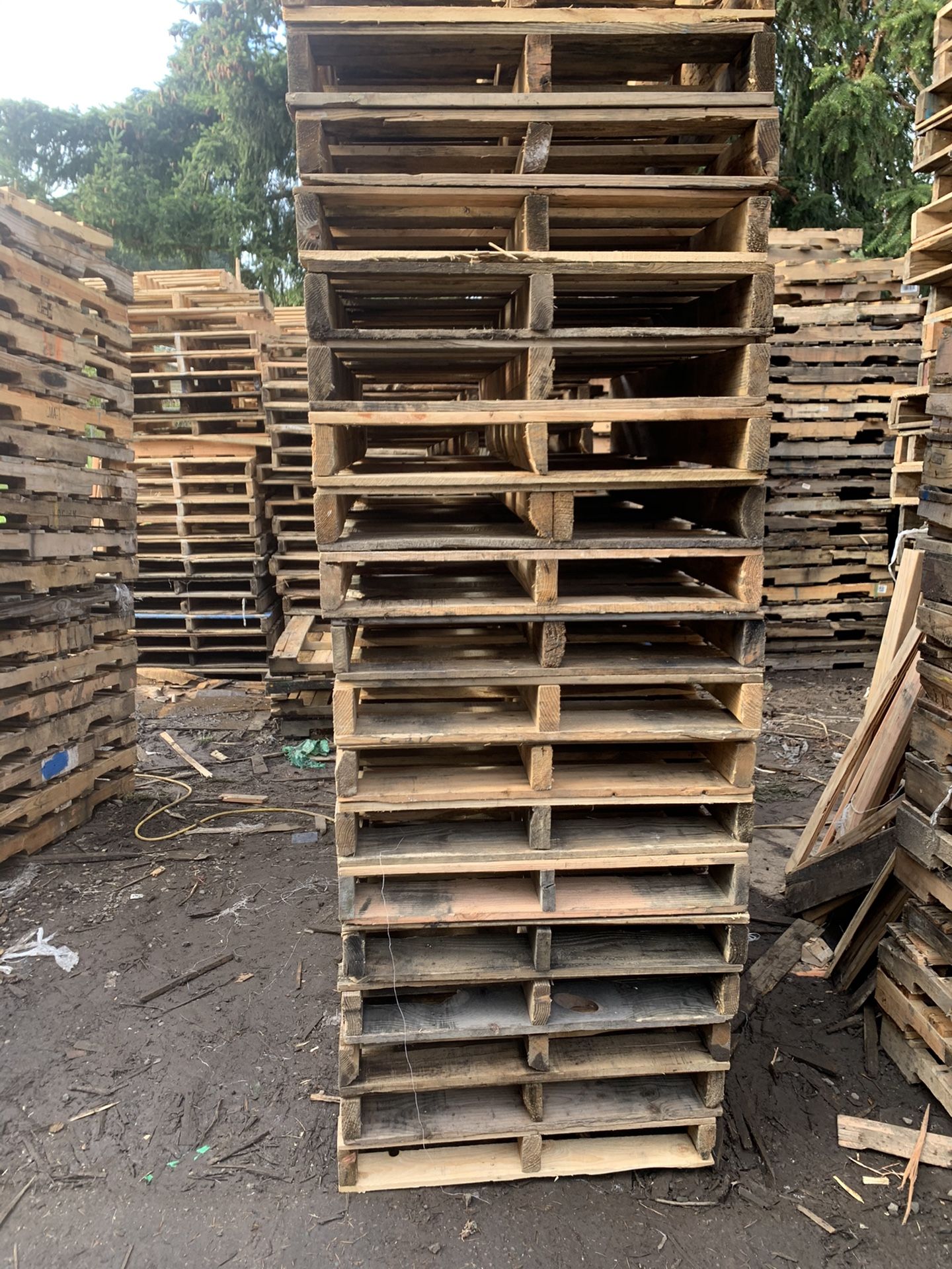 32x40 Pallets
