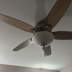 Ceiling Fan