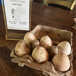 Farm Fresh Turkey Eggs 