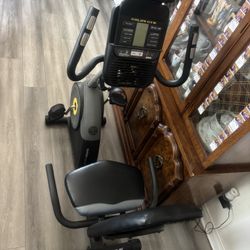 Gold Gym, Exercise Bike