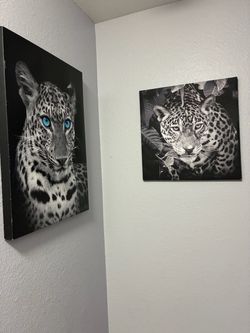 Cheetah canvas