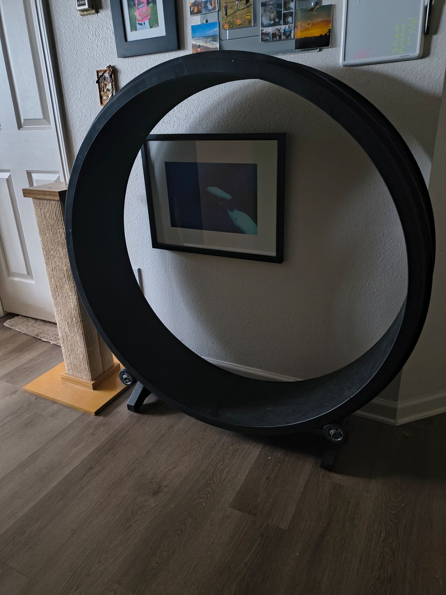 Cat exercise wheel