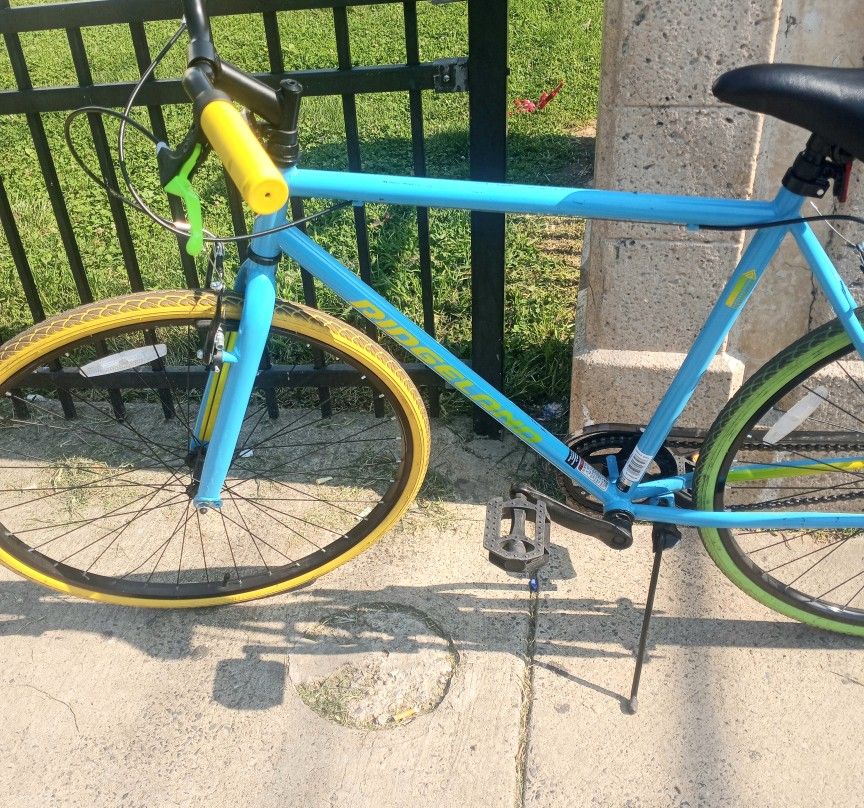 Ridgeland Mountain Bike