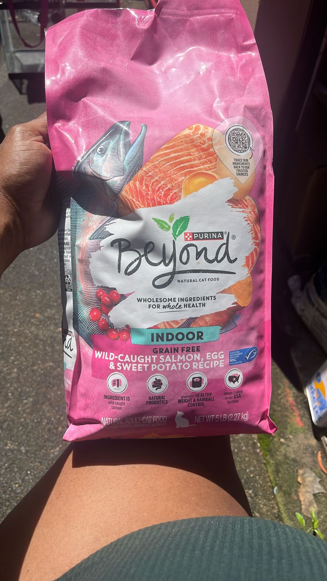 Purina Beyond Cat food